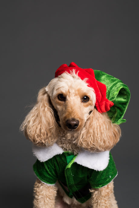 Beechville Lane Christmas 2021 Shipping Cut Off Dates